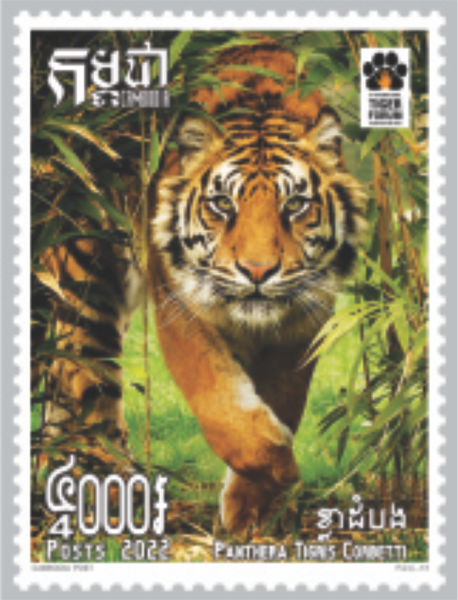 International Forum for Tiger Population Preservation